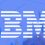 IBM [Case Study]